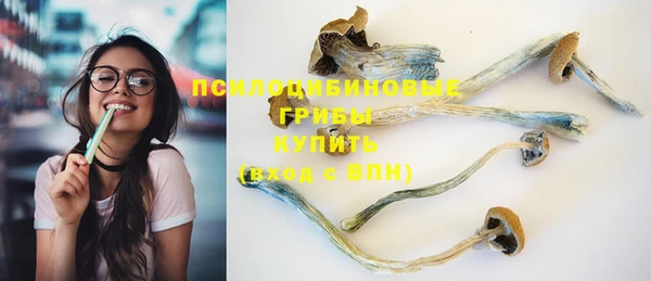 шишки Наволоки