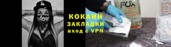 твердый Аркадак