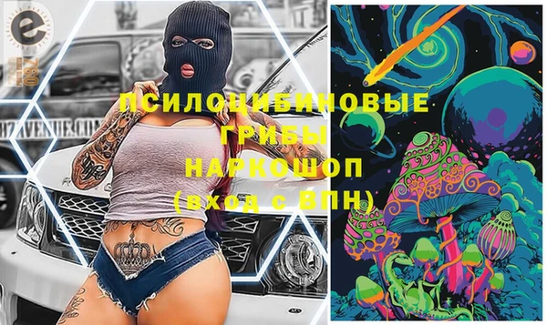 дурь Арсеньев