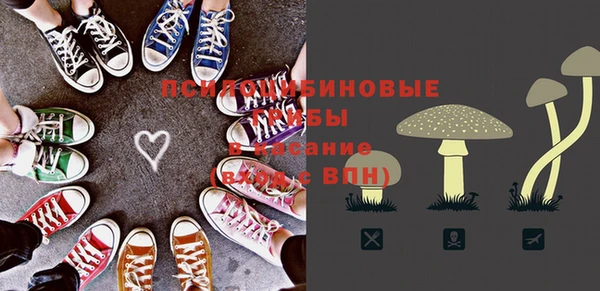твердый Аркадак