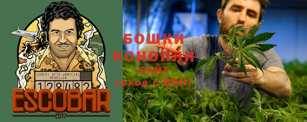дурь Арсеньев
