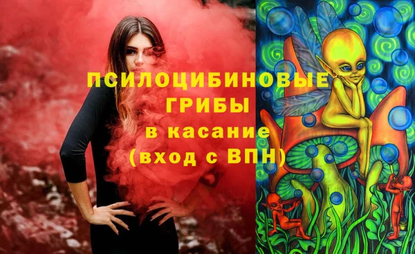 твердый Аркадак